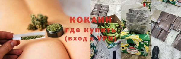 индика Алексин