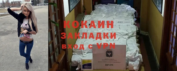 индика Алексин