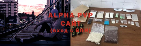 индика Алексин