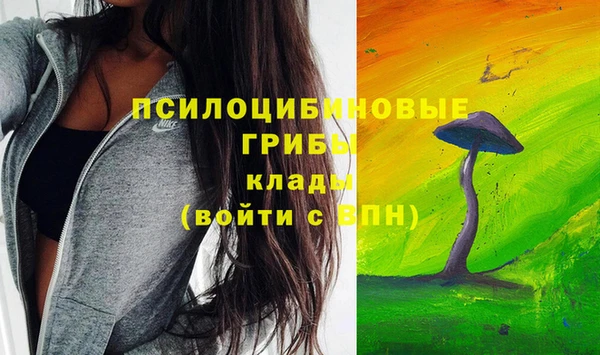 дурь Алзамай