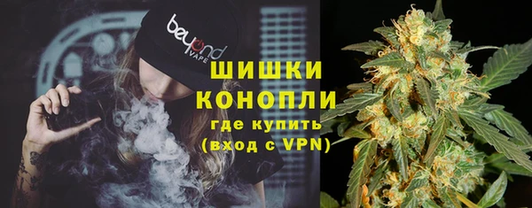 дурь Алзамай