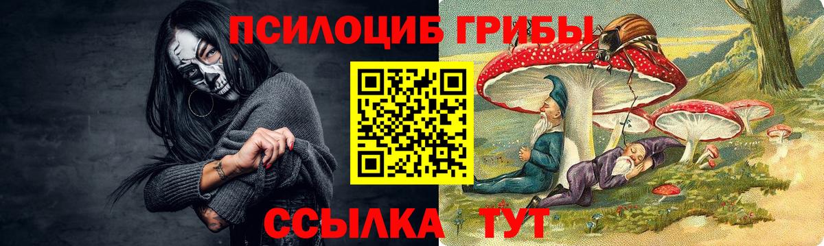 Псилоцибиновые грибы Psilocybine cubensis Глазов