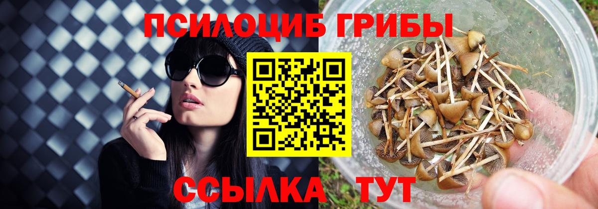 Псилоцибиновые грибы прущие грибы  Псилоцибиновые грибы Psilocybine cubensis  Вход с VPN  Глазов 